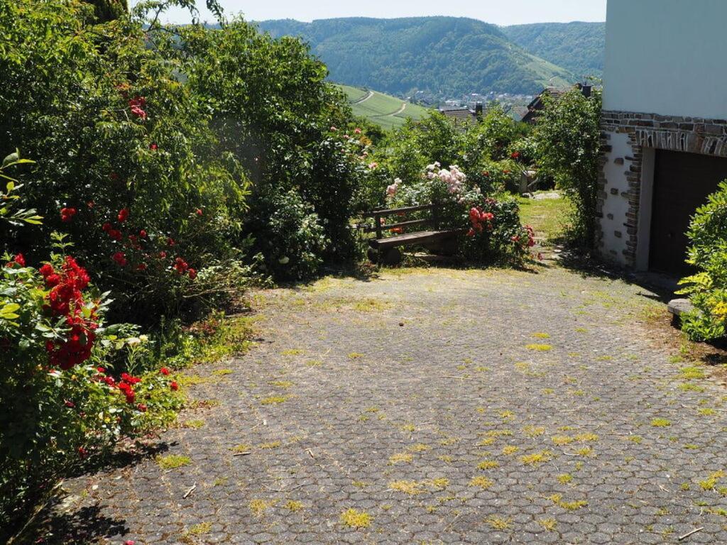 Holiday Home Villa Bauer Traben-Trarbach Exteriér fotografie